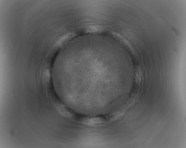 X0000113530716200910091223