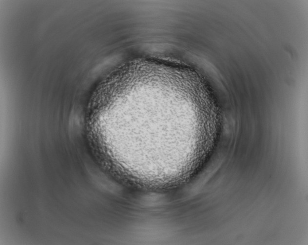 X0000113530718200910091223