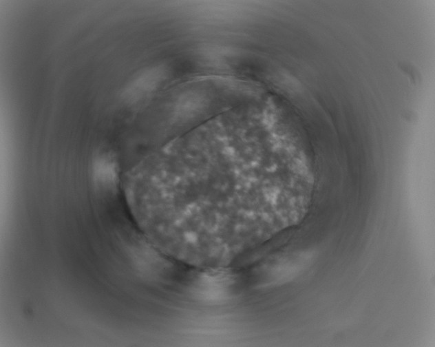 X0000113530720200910091223