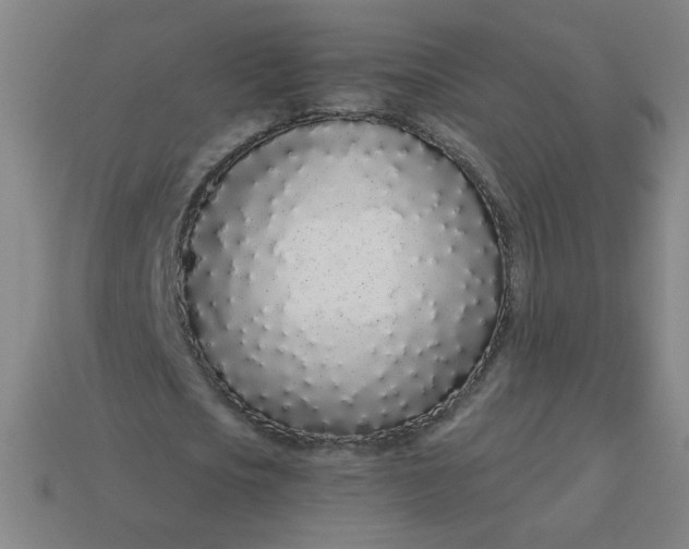 X0000113530721200910091222