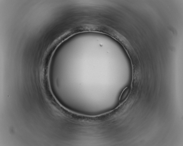 X0000113530722200910091222