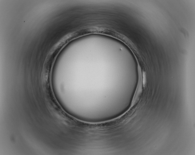 X0000113530723200910091222