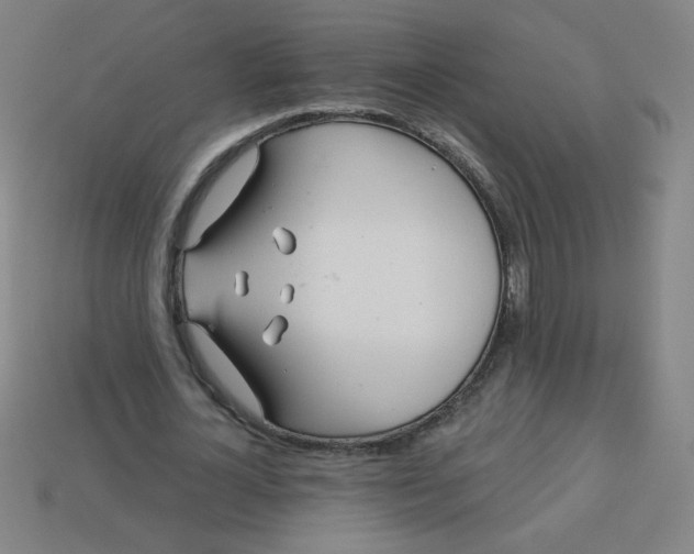 X0000113530724200910091222