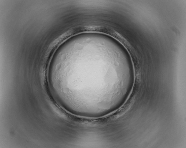 X0000113530725200910091222