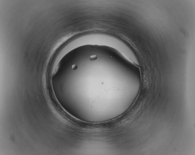 X0000113530726200910091222