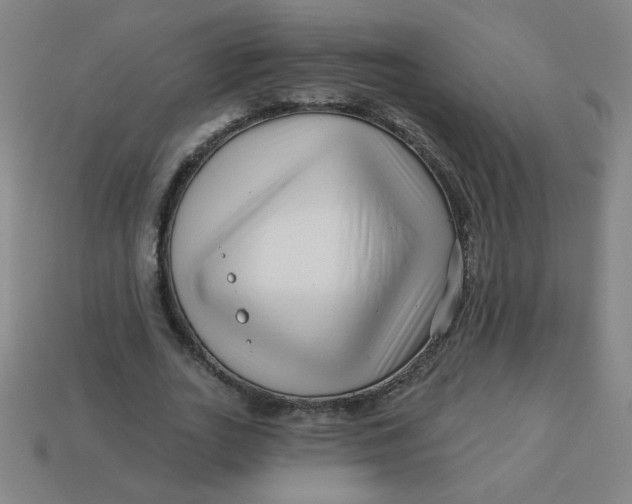 X0000113530727200910091222