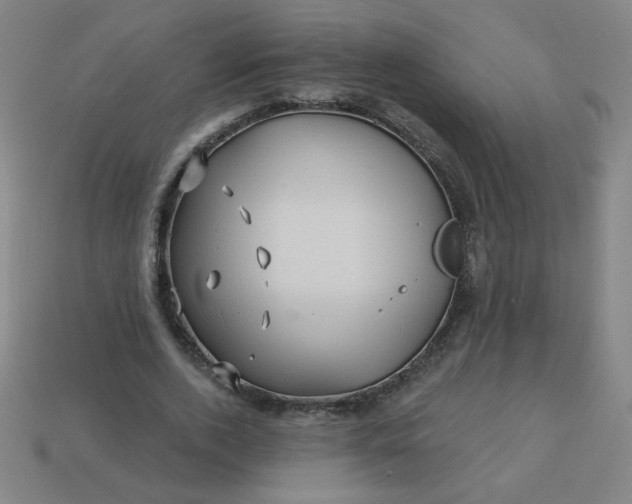 X0000113530728200910091222