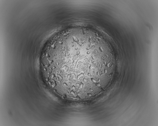 X0000113530729200910091222