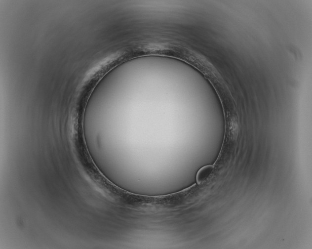 X0000113530732200910091222