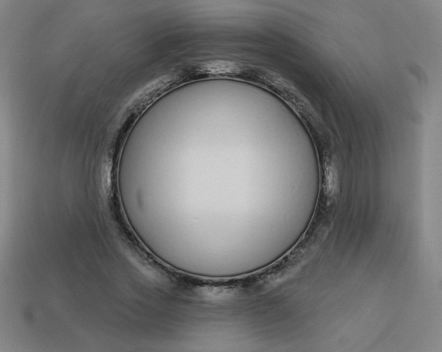 X0000113530733200910091222