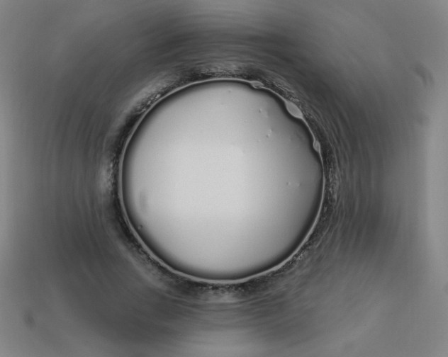 X0000113530735200910091222