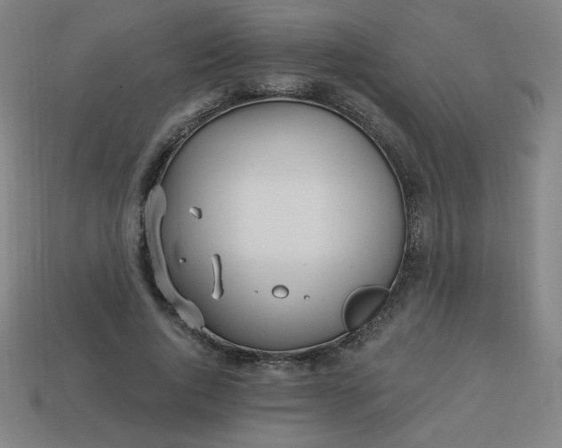 X0000113530736200910091222