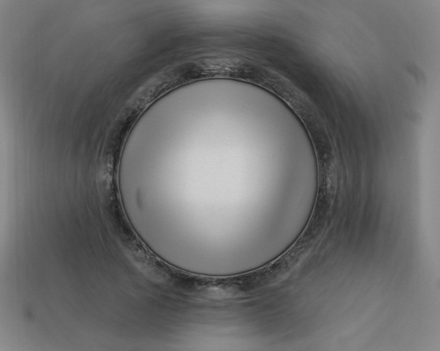 X0000113530737200910091222