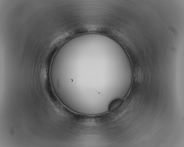 X0000113530740200910091222