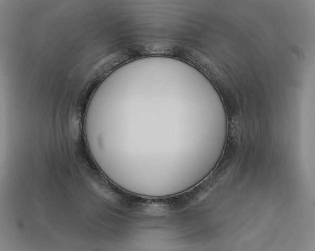 X0000113530741200910091222