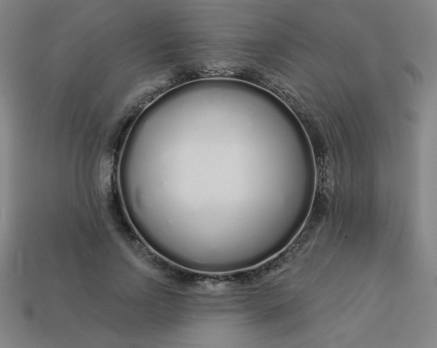 X0000113530742200910091222