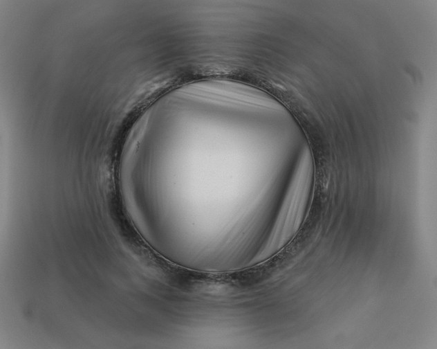 X0000113530743200910091223