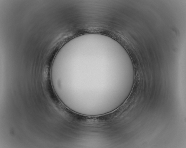 X0000113530744200910091223