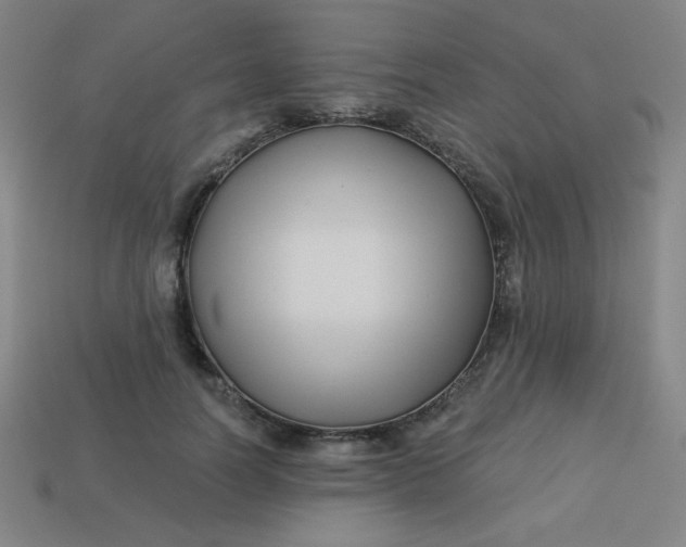 X0000113530746200910091223