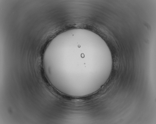 X0000113530748200910091223