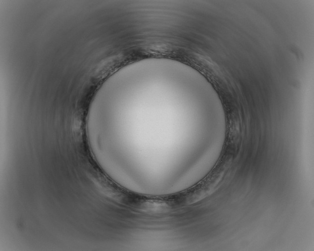 X0000113530749200910091223