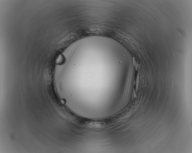 X0000113530751200910091223