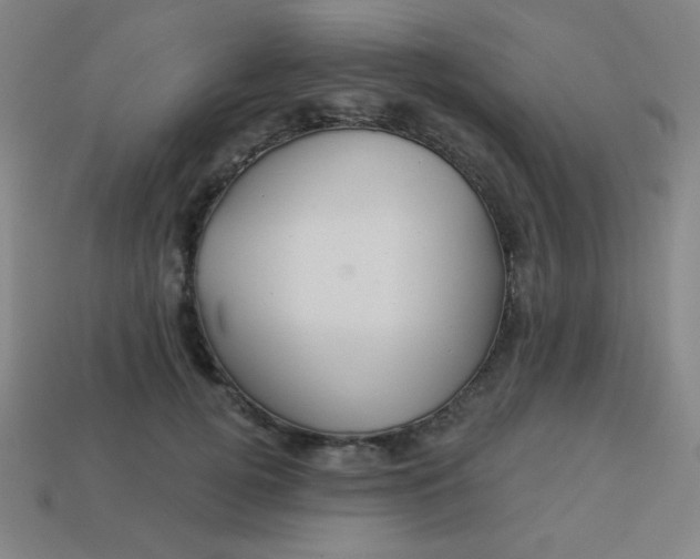 X0000113530752200910091223