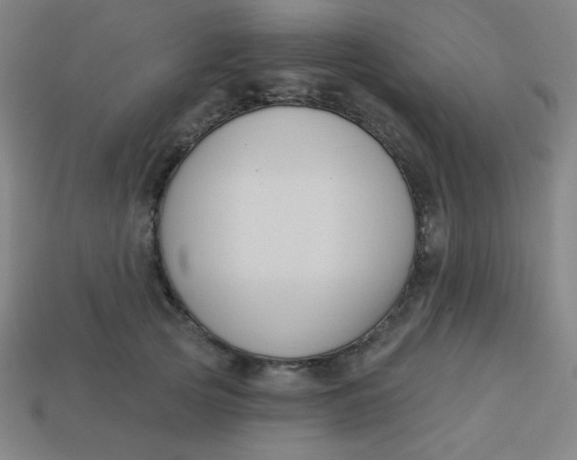 X0000113530753200910091223