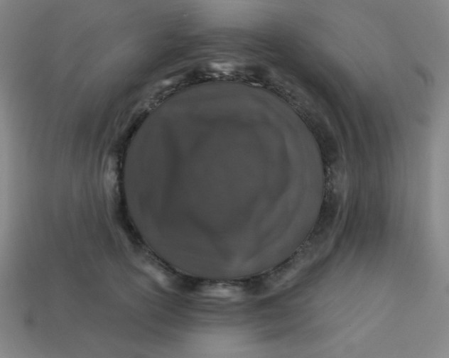 X0000113530754200910091223