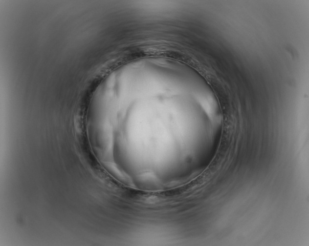 X0000113530755200910091223