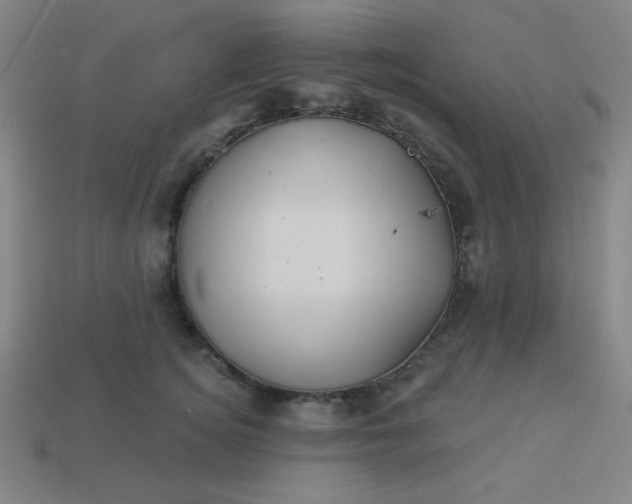 X0000113530756200910091223