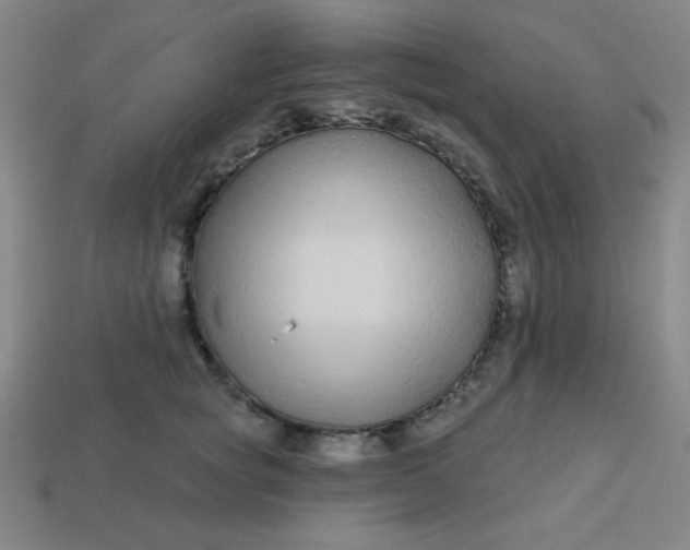 X0000113530757200910091223