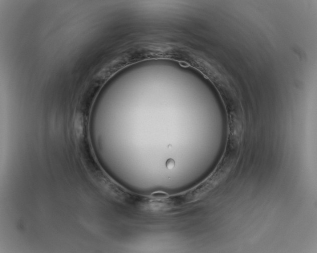 X0000113530758200910091223