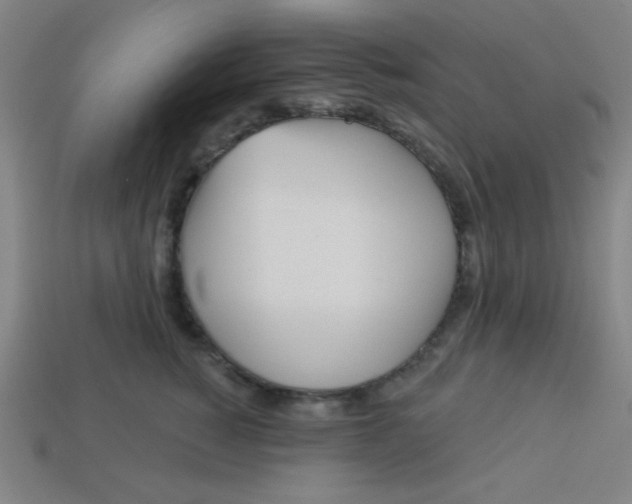 X0000113530760200910091223