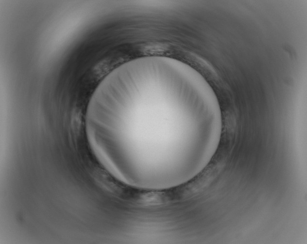 X0000113530761200910091223