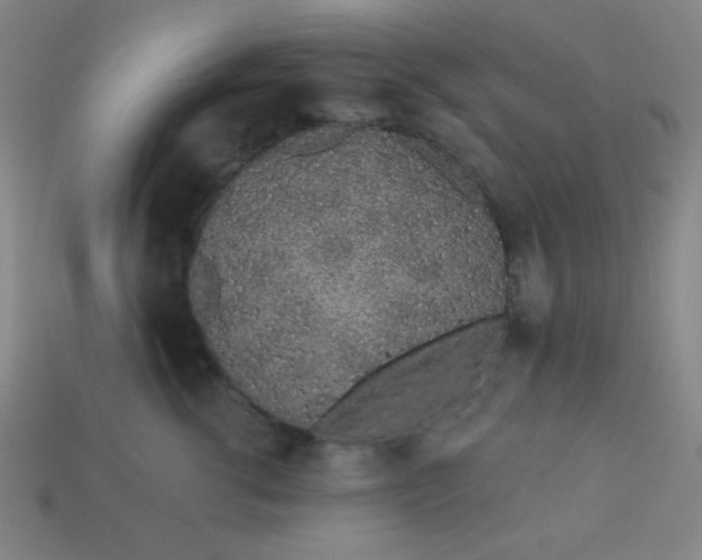 X0000113530762200910091223