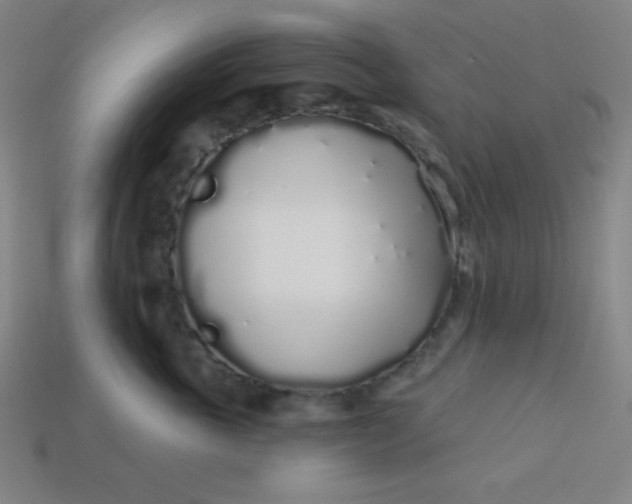 X0000113530763200910091223