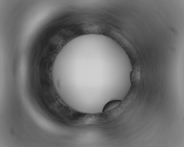 X0000113530764200910091223