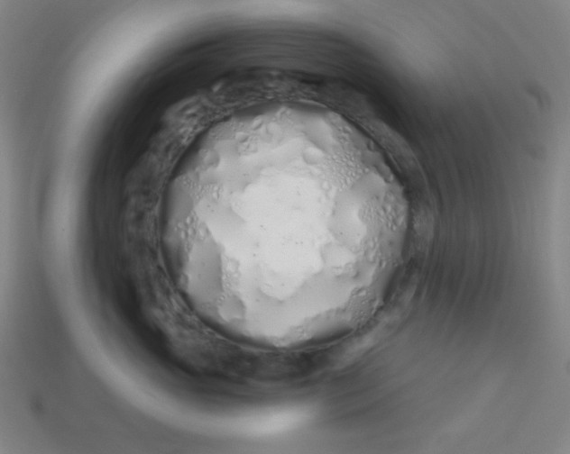 X0000113530765200910091223