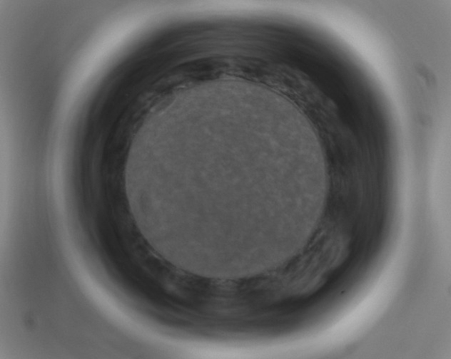 X0000113530766200910091223