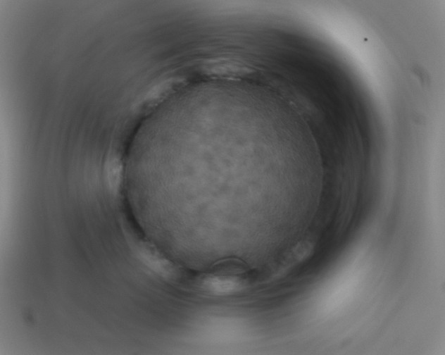 X0000113530767200910091223