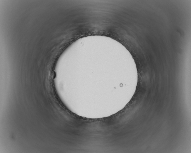 X0000113530769200910091222