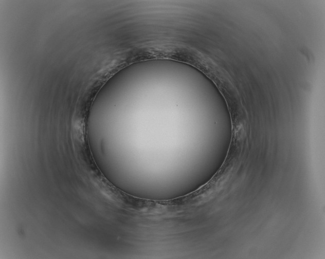 X0000113530772200910091222