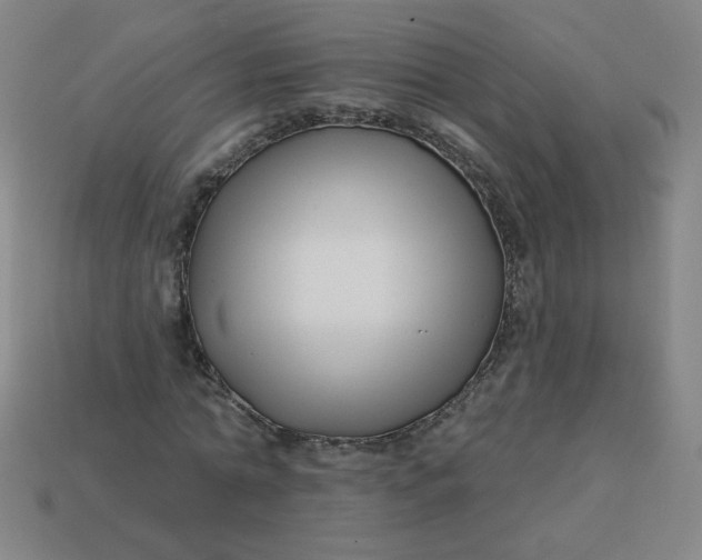 X0000113530774200910091222