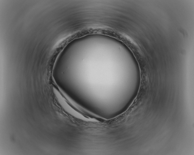 X0000113530775200910091222