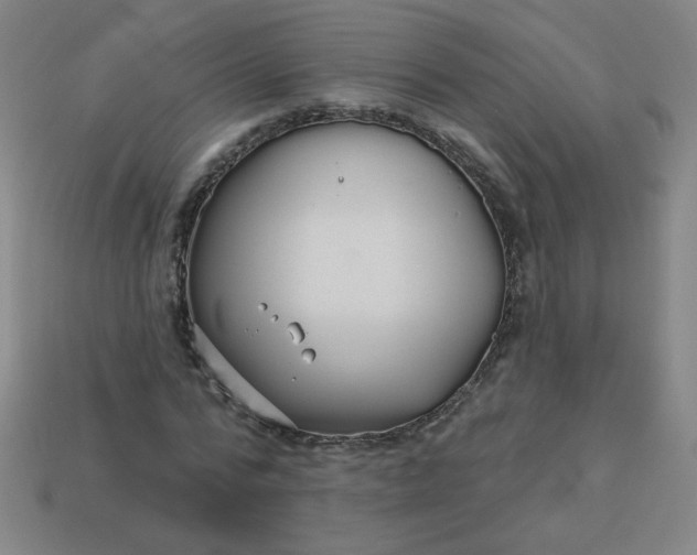 X0000113530776200910091222