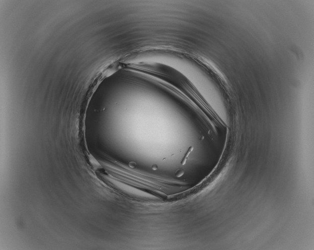 X0000113530777200910091222