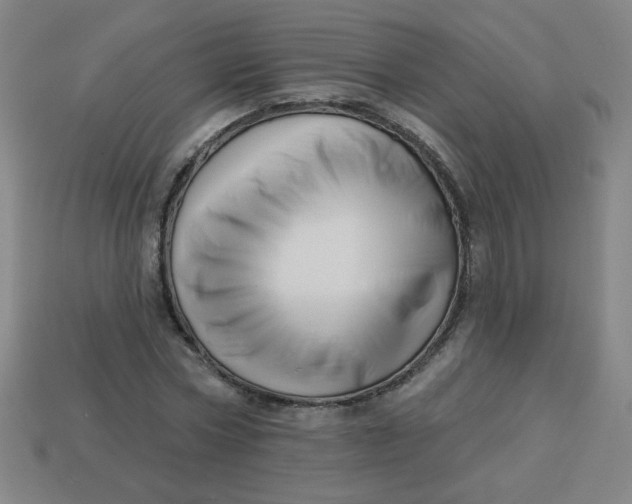 X0000113530778200910091222