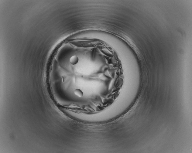 X0000113530780200910091222