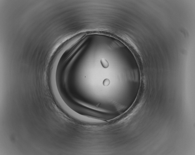 X0000113530781200910091222